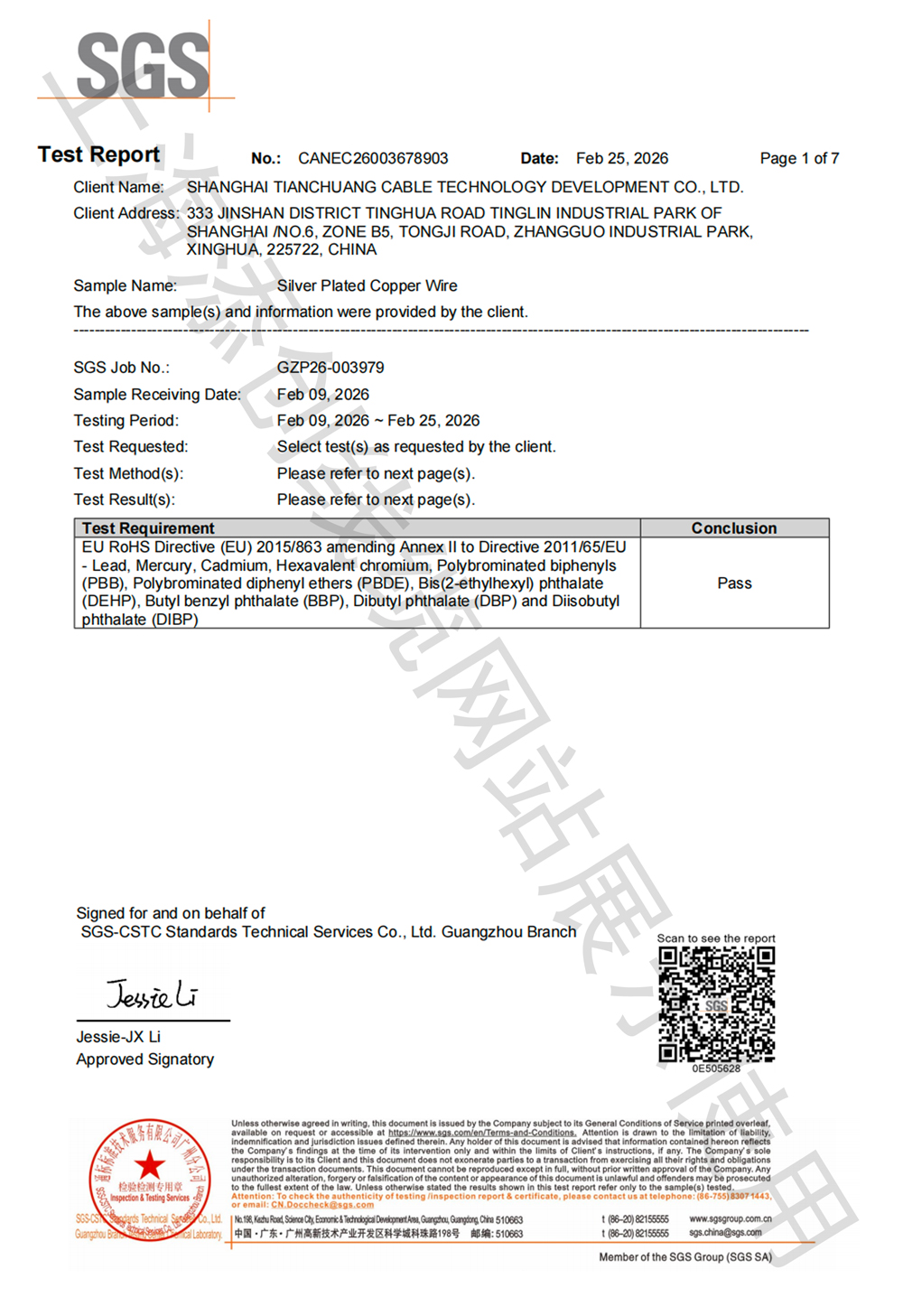 镀银铜线REACH(SVHC)英文版